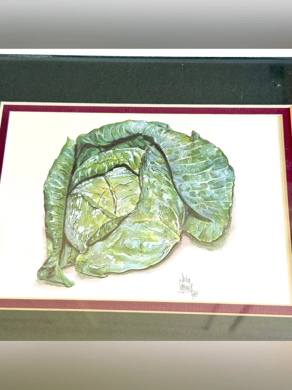 Vegetable Watercolor Art Prints Vintage Onion Asparagus Cabbage Framed Wall Art